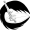 Avatar for Steve Wilkinson