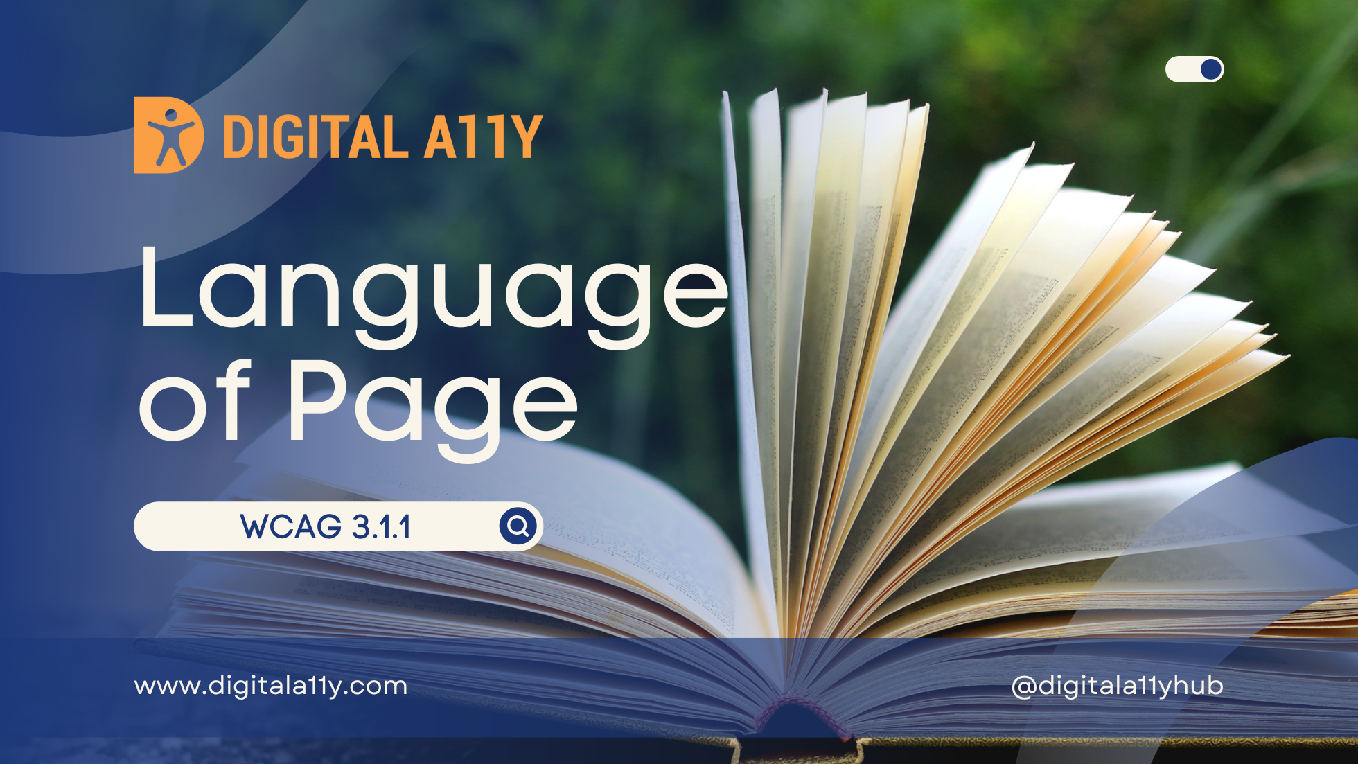 3.1.1 Language of Page